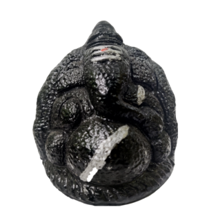 Kanipakam lord Ganesha idol